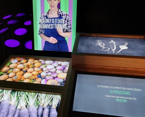 20191108_131844 Cité de la Gastronomie de Lyon