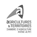 Plan de travail 1 copie 13